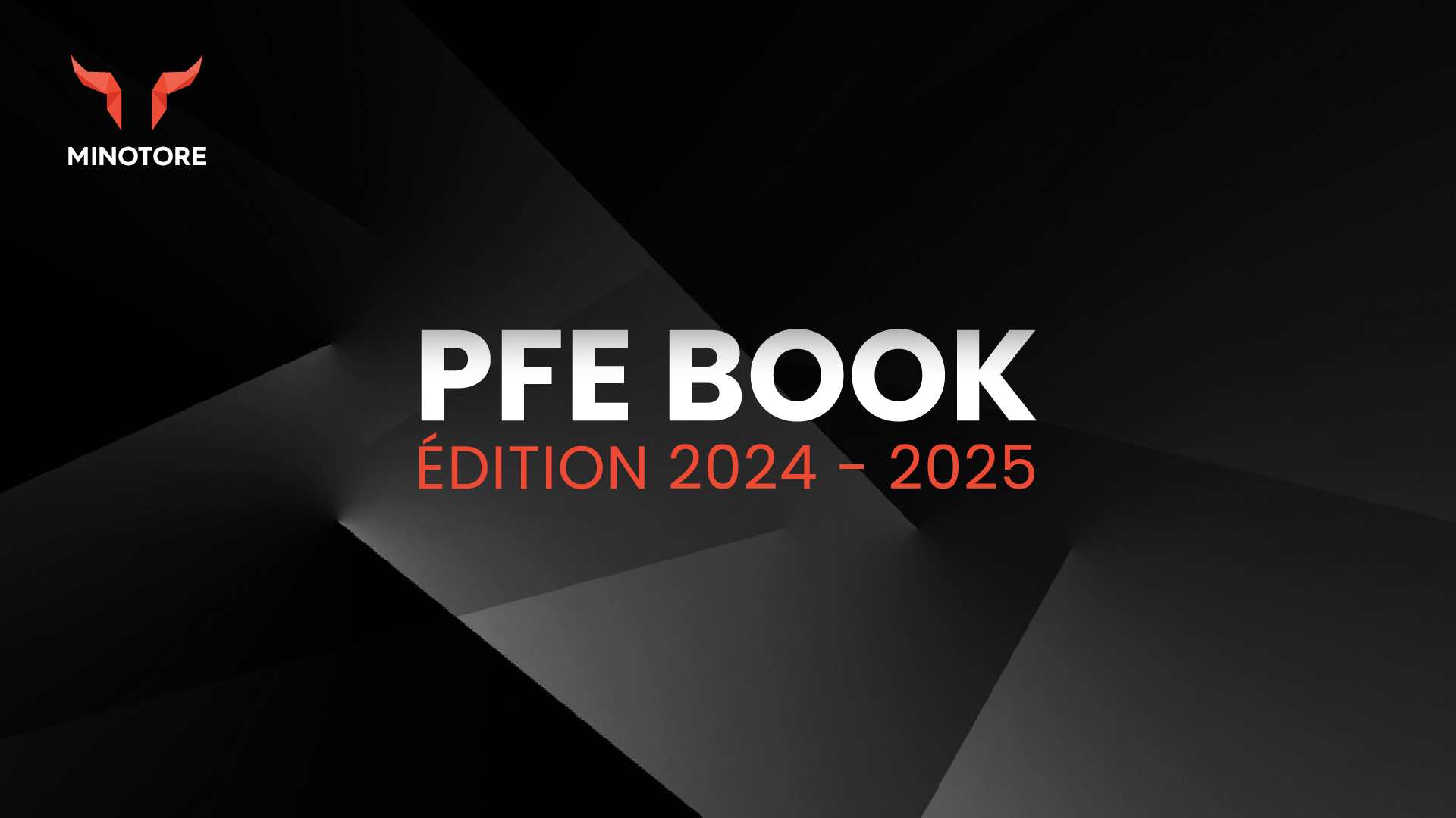 PFE 2024 - 2025